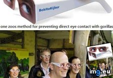Tags: eye, funny (Pict. in My r/FUNNY favs)