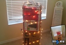 Tags: artificial, box, christmas, family, felt, funny, get, one, out, setting, tree (Pict. in My r/FUNNY favs)