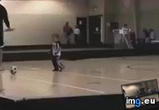 Tags: funny, playing, portals (GIF in My r/FUNNY favs)