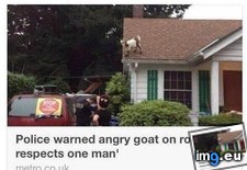 Tags: funny, greatest, headline, written (Pict. in My r/FUNNY favs)