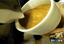 Tags: funny, oddly, satisfying (GIF in My r/FUNNY favs)