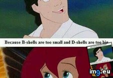 Tags: ariel, funny (Pict. in My r/FUNNY favs)