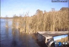 Tags: brakes, fuck, funny (GIF in My r/FUNNY favs)