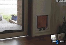 Tags: door, for, funny, was (GIF in My r/FUNNY favs)