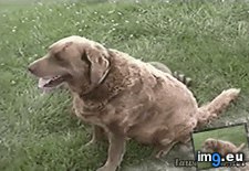 Tags: crap, funny, onward (GIF in My r/FUNNY favs)