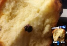 Tags: accurate, blueberry, description, expect, funny, muffin, ordered (Pict. in My r/FUNNY favs)