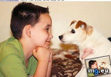 Tags: boy, dog, dying, for, funny, interwebs, lick, list, service (Pict. in LOLCats, LOLDogs and cute animals)