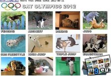 Tags: cat, funny, olympics (Pict. in LOLCats, LOLDogs and cute animals)