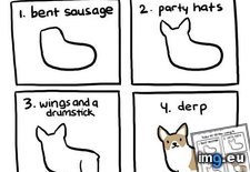 Tags: corgis, drawing, easy, funny, graphjam, steps (Pict. in LOLCats, LOLDogs and cute animals)
