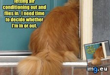 Tags: are, funny, kitteh, lolcats, unreasonable, yeesh, you (Pict. in LOLCats, LOLDogs and cute animals)