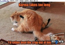 Tags: funny, karma, lolcats, long, takes, too (Pict. in LOLCats, LOLDogs and cute animals)
