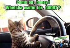 Tags: funny, literary, lolcats, rage, road (Pict. in LOLCats, LOLDogs and cute animals)
