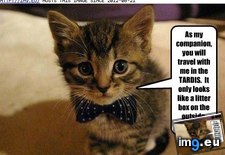 Tags: funny, lolcats, say, tour, universe, wanna, you (Pict. in LOLCats, LOLDogs and cute animals)