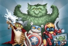 Tags: avengers, cat, funny (Pict. in LOLCats, LOLDogs and cute animals)