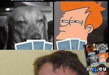 Tags: funny, poker (Pict. in Rehost)