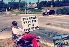 Tags: funny, pool, world (Pict. in My r/FUNNY favs)