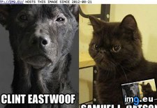 Tags: actors, animal, finest, funny, kingdom, pun, puns, two (Pict. in LOLCats, LOLDogs and cute animals)