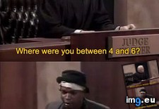 Tags: color, funny, living (Pict. in My r/FUNNY favs)