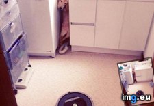 Tags: dog, funny, nope, roomba, world (Pict. in My r/FUNNY favs)