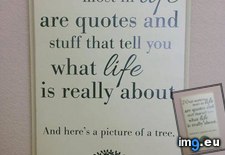 Tags: funny, photo, sarcastic, wall (Pict. in My r/FUNNY favs)