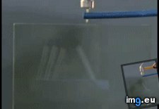 Tags: funny, science (GIF in My r/FUNNY favs)