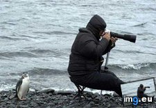 Tags: funny (Pict. in My r/FUNNY favs)