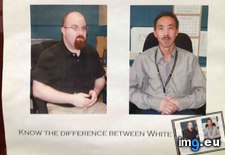 Tags: dad, funny, office (Pict. in My r/FUNNY favs)