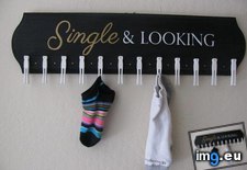 Tags: funny, single (Pict. in My r/FUNNY favs)