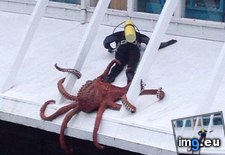 Tags: cthulu, funny, lord, moment, our, savior, sir, talk, you (Pict. in My r/FUNNY favs)