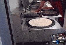 Tags: are, funny, how, records (GIF in My r/FUNNY favs)