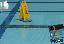 Tags: funny, practice, swim (Pict. in My r/FUNNY favs)
