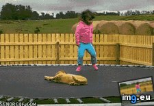 Tags: difficult, fuck, funny, give, not (GIF in My r/FUNNY favs)