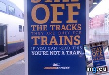 Tags: funny, stay, tracks (Pict. in My r/FUNNY favs)