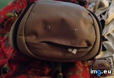 Tags: backpack, fucking, funny, stupid (Pict. in My r/FUNNY favs)