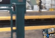 Tags: door, funny, subway (GIF in My r/FUNNY favs)
