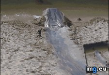 Tags: funny, shot, super (GIF in My r/FUNNY favs)