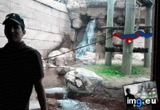 Tags: beautiful, for, funny, gif, mode, reminding, you (GIF in My r/FUNNY favs)