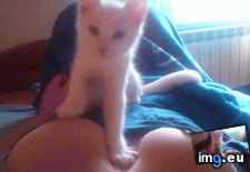 Tags: breaker, funny (GIF in My r/FUNNY favs)