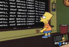 Tags: chalkboard, funny, punishment, simpsons, thespimpsons (Pict. in My r/FUNNY favs)