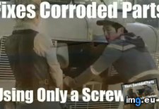 Tags: dead, funny, walking (Pict. in My r/FUNNY favs)