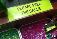 Tags: awesome, funny (Pict. in My r/FUNNY favs)