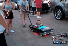 Tags: funny, hating, strolling (GIF in My r/FUNNY favs)