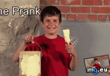 Tags: funny, prank, thief (GIF in My r/FUNNY favs)