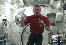 Tags: chris, funny, hadfield, showed, space (GIF in My r/FUNNY favs)