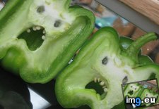 Tags: cut, faces, funny, pepper, terrified, time, you (Pict. in My r/FUNNY favs)