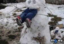 Tags: for, funny, snow (Pict. in My r/FUNNY favs)