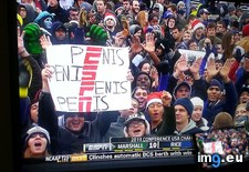 Tags: funny, guy (Pict. in My r/FUNNY favs)