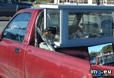 Tags: dog, funny, loves, man (Pict. in My r/FUNNY favs)