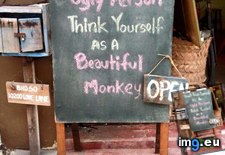 Tags: funny (Pict. in My r/FUNNY favs)