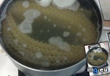Tags: cookie, cooking, funny, monster, pasta, suddenly (Pict. in My r/FUNNY favs)